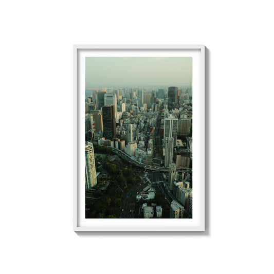 Concrete Jungle