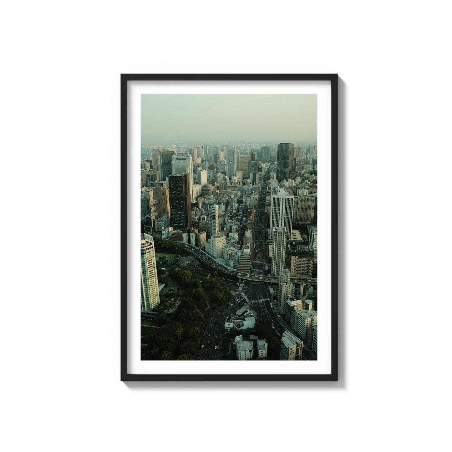 Concrete Jungle
