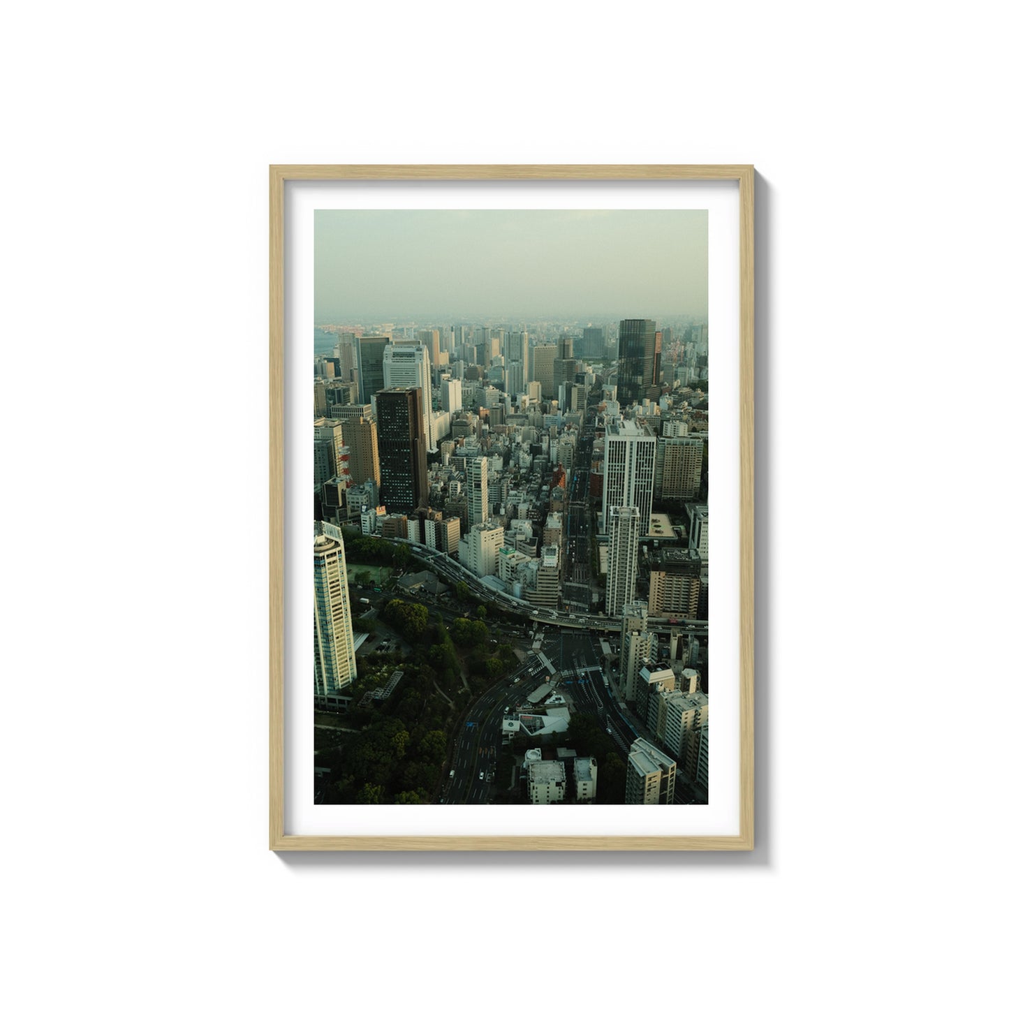 Concrete Jungle