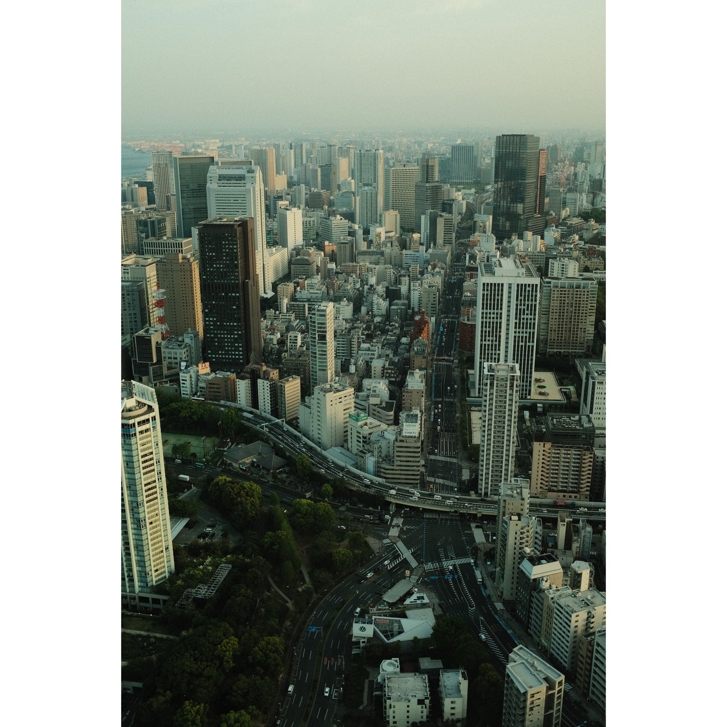 Concrete Jungle