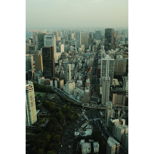 Concrete Jungle