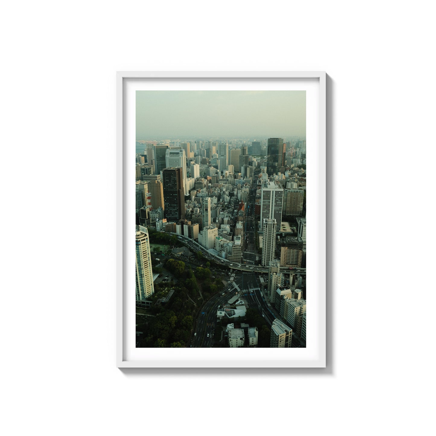 Concrete Jungle