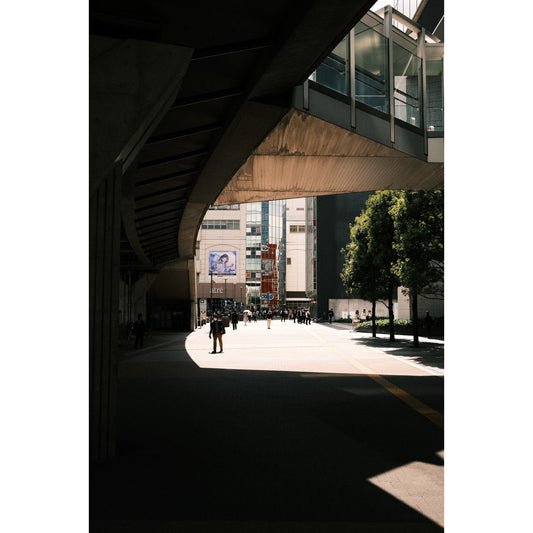 Metropolis