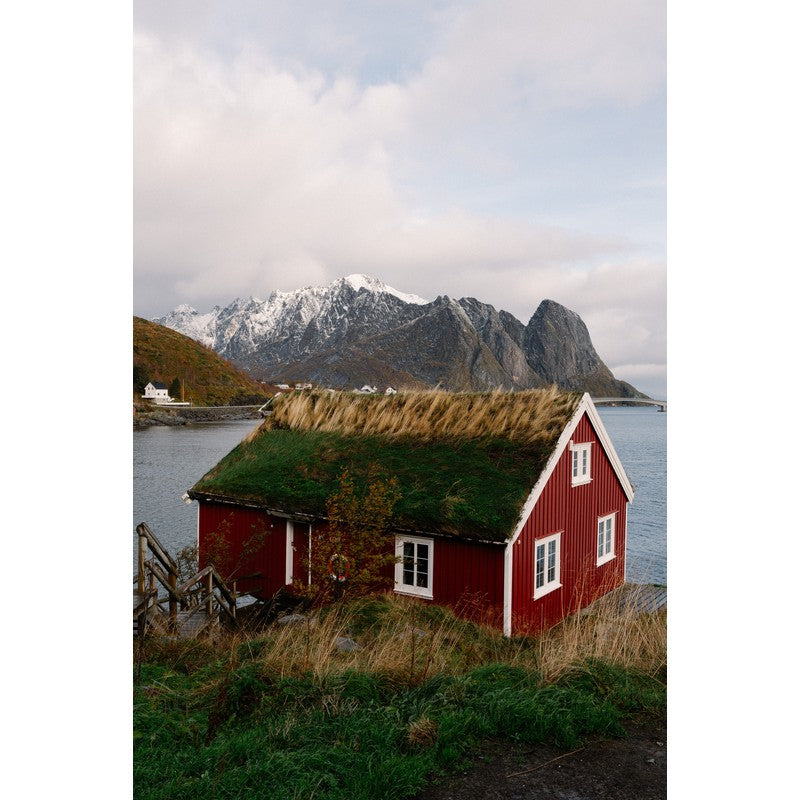 Reine
