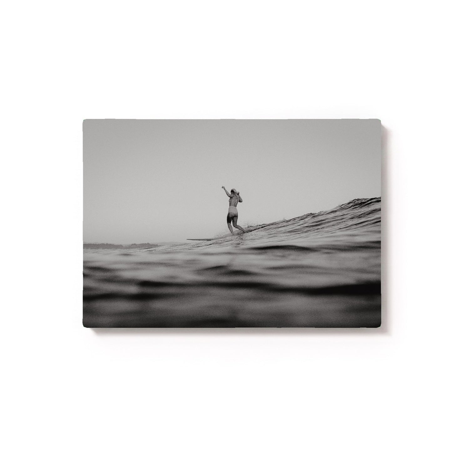 Snapper Rocks I