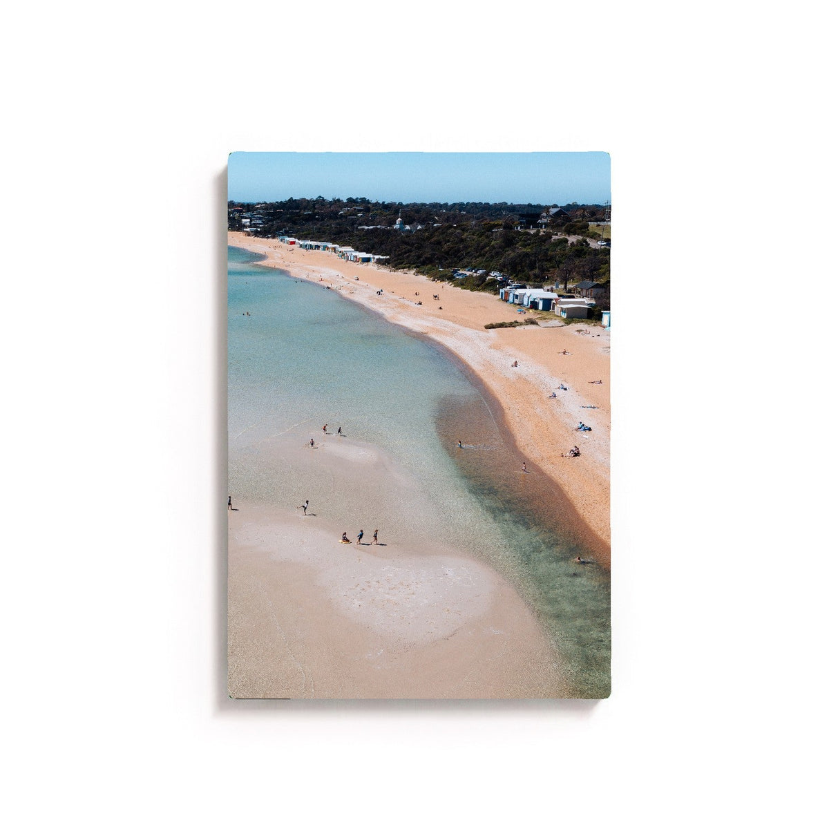 South Beach Kids by Isaac Brooks, unframed, canvas