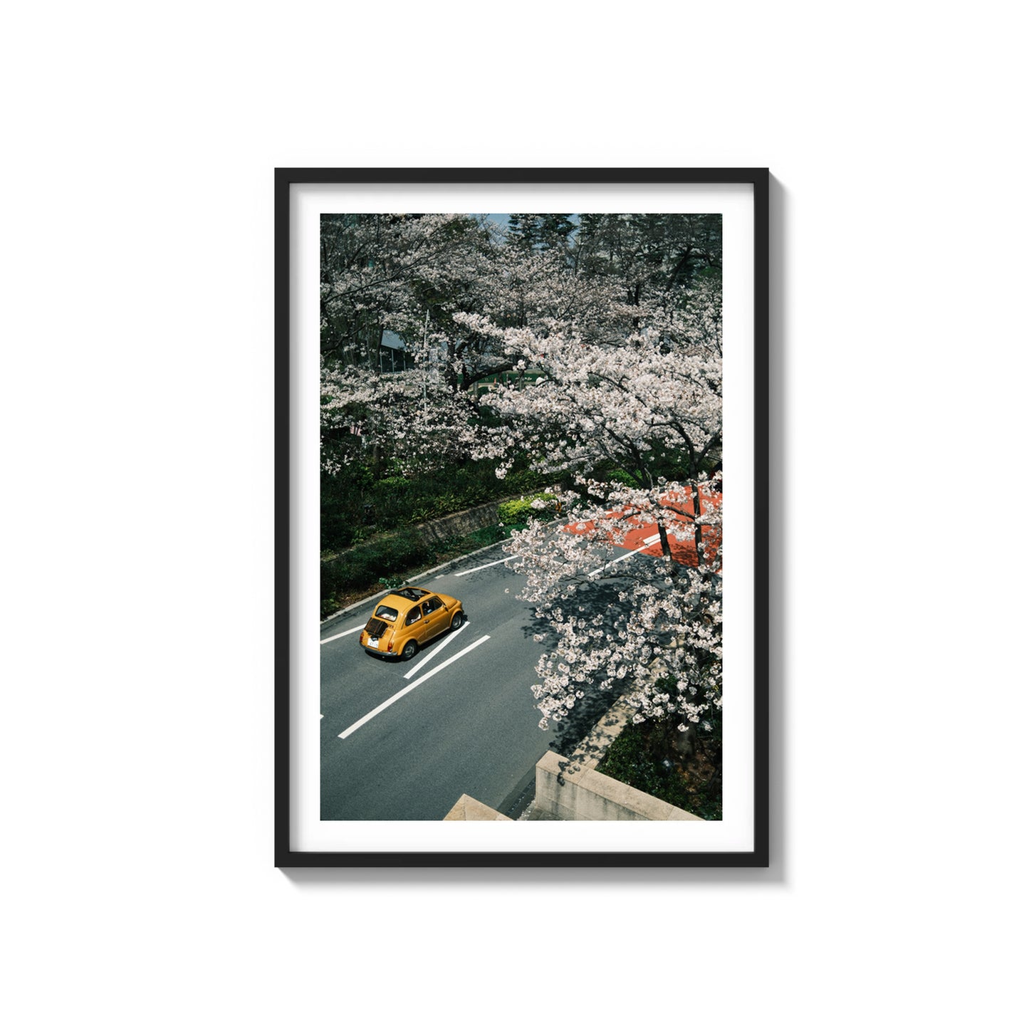 Through The Sakura