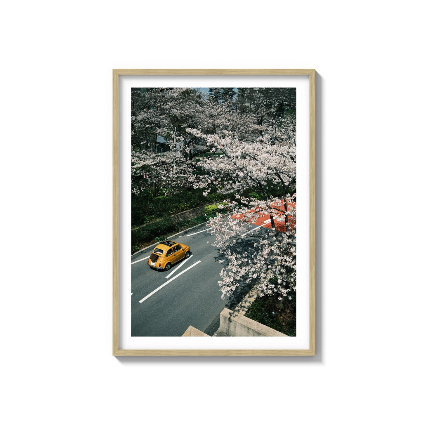 Through The Sakura