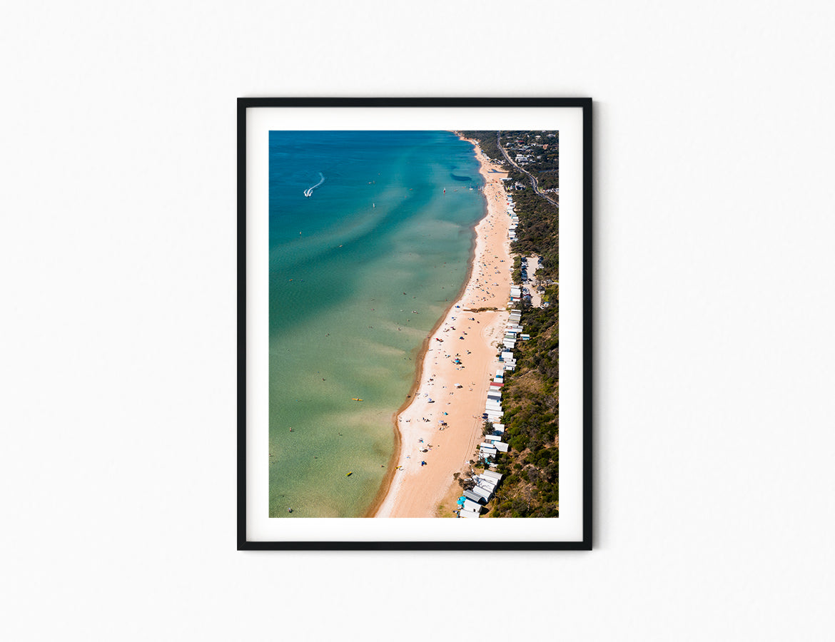 South Beach Swimmers