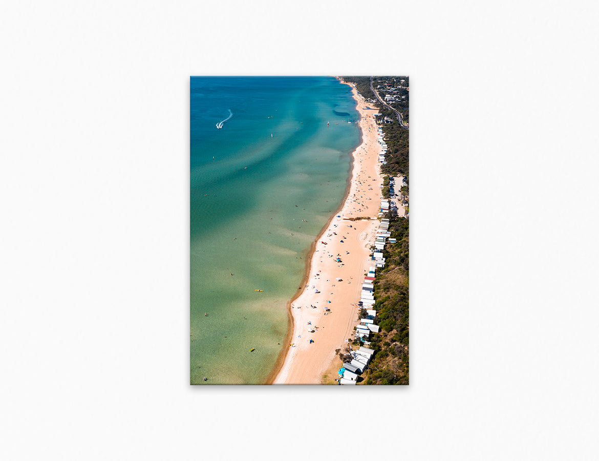 South Beach Swimmers